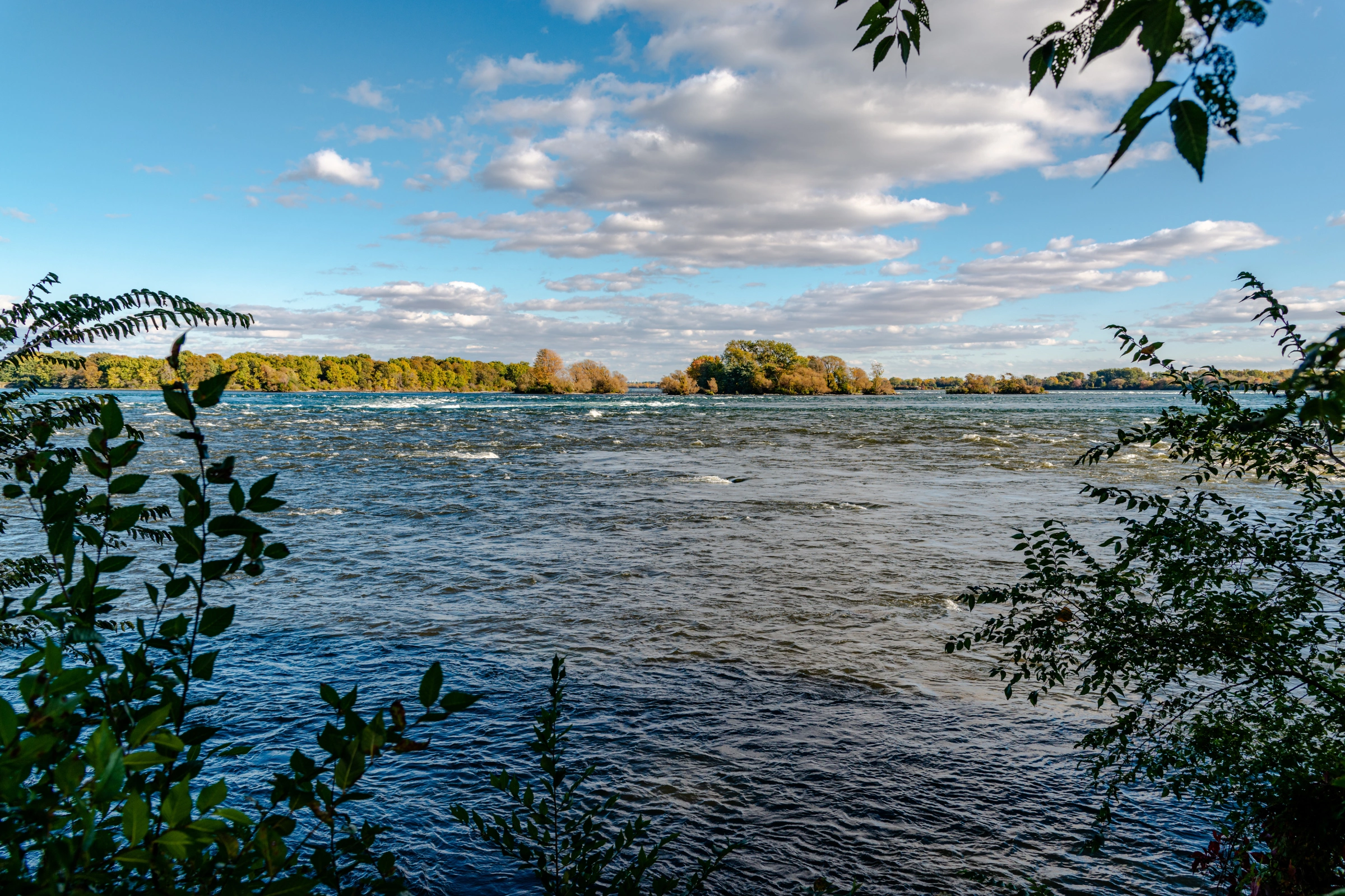 Saint_Lawrence[1].webp